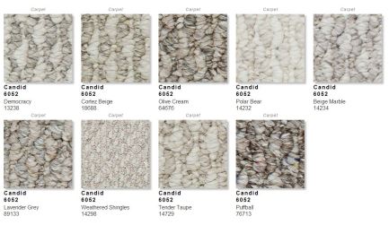 Candid Carpet Collection